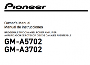 Pioneer