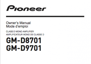 Pioneer
