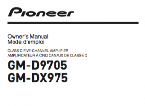 Pioneer